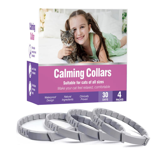 Bloom Calming Collar for Cats — 4 Pack