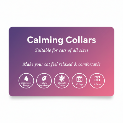 Bloom Calming Collar for Cats — 4 Pack
